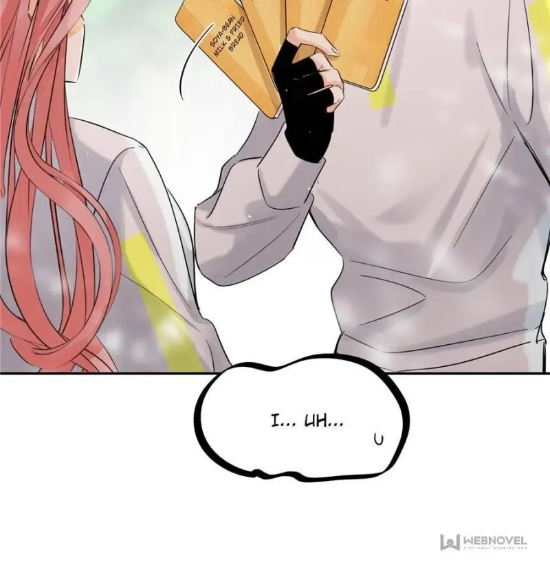 My Cat Lover Chapter 41 Online - página 51