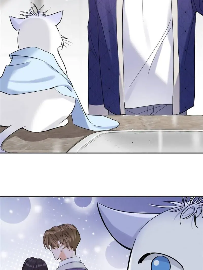 My Cat Lover Chapter 44 Online - página 2