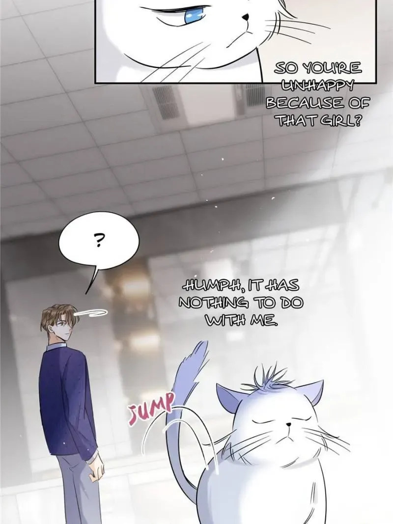 My Cat Lover Chapter 44 Online - página 4