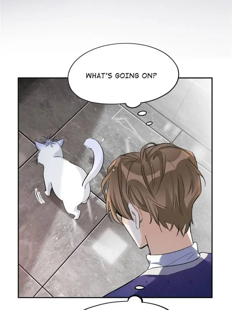 My Cat Lover Chapter 44 Online - página 6