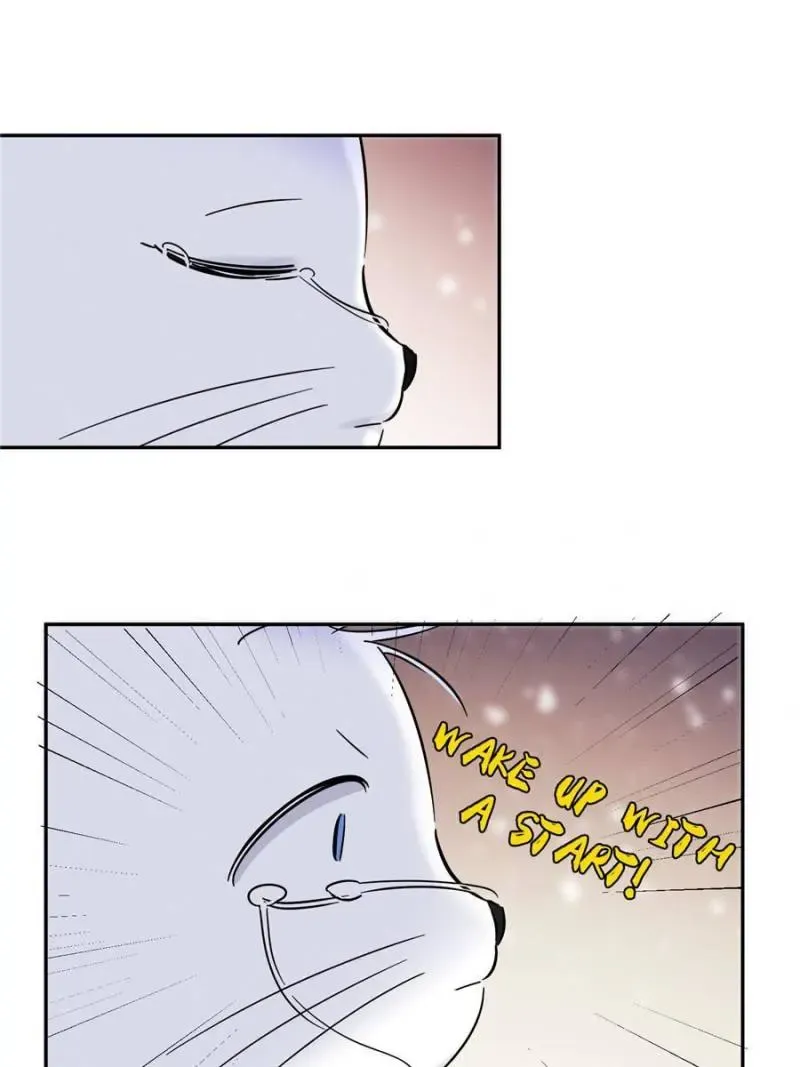 My Cat Lover Chapter 44 Online - página 21