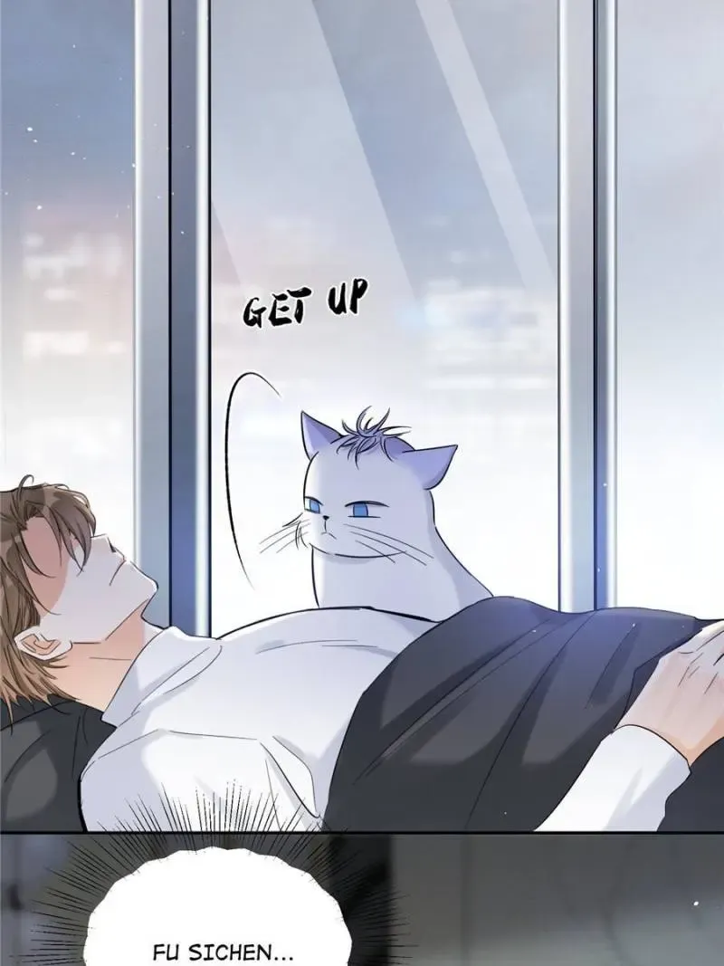 My Cat Lover Chapter 44 Online - página 23