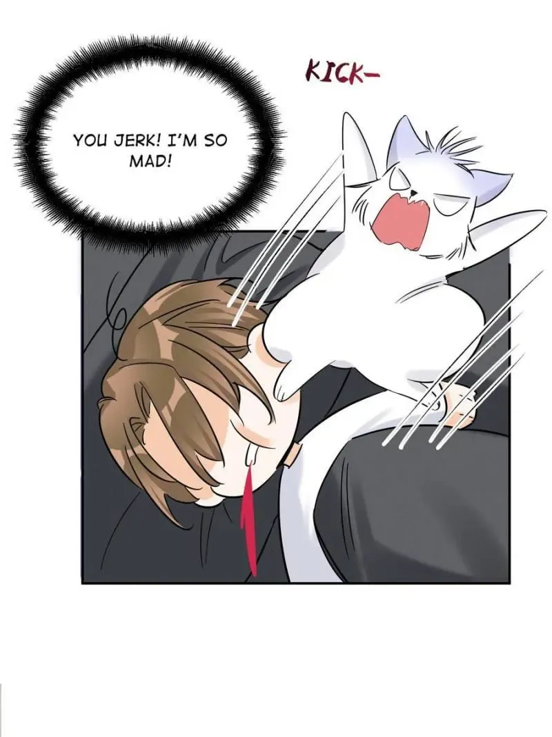 My Cat Lover Chapter 44 Online - página 25
