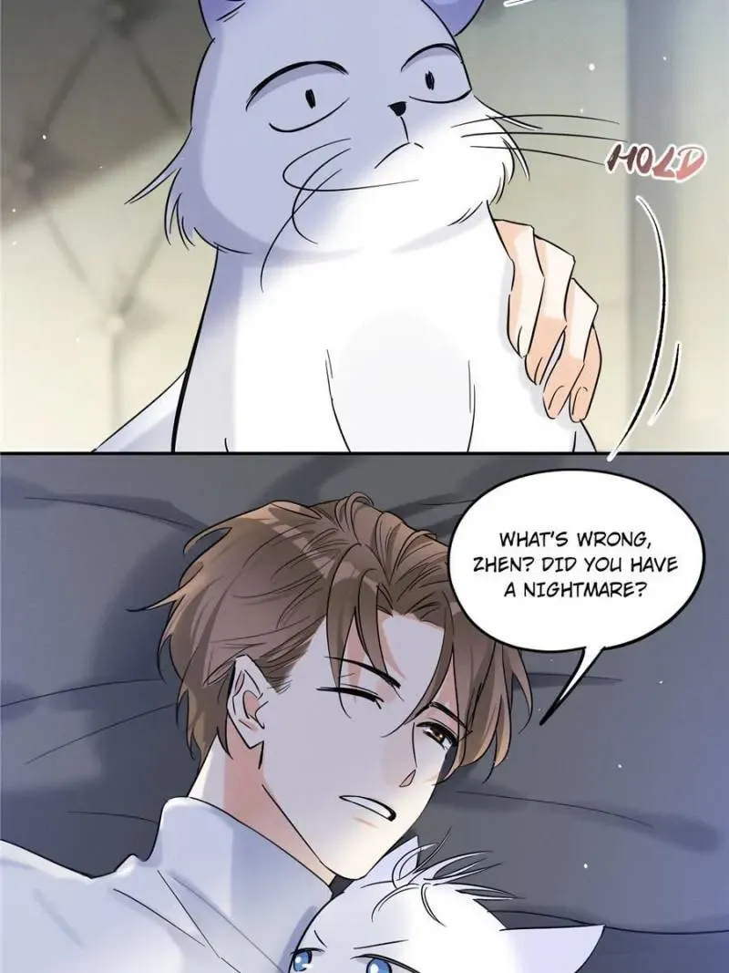 My Cat Lover Chapter 44 Online - página 27