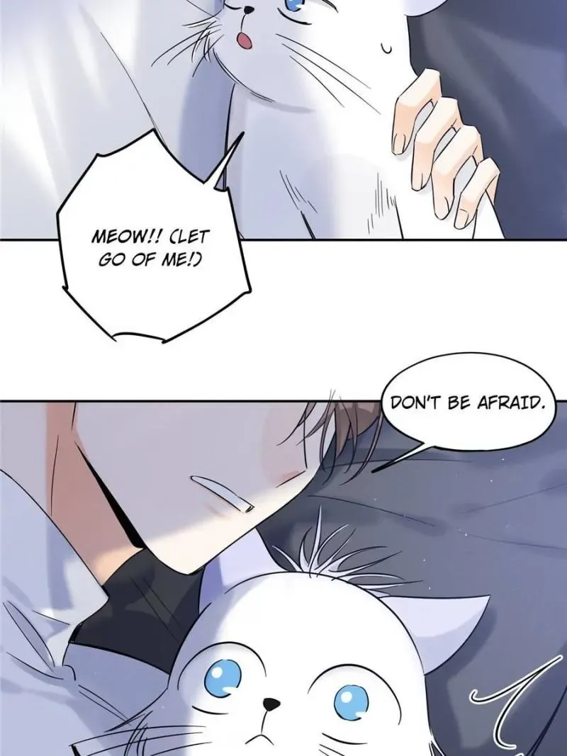 My Cat Lover Chapter 44 Online - página 28