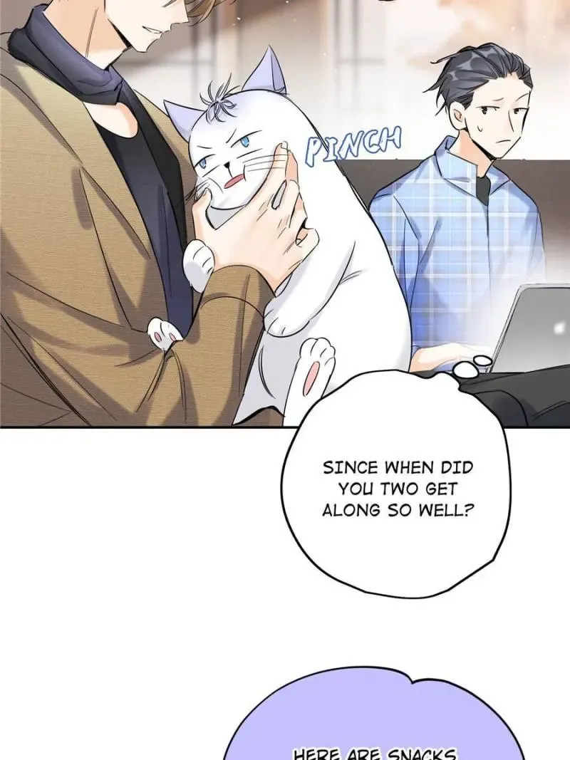 My Cat Lover Chapter 45 Online - página 4