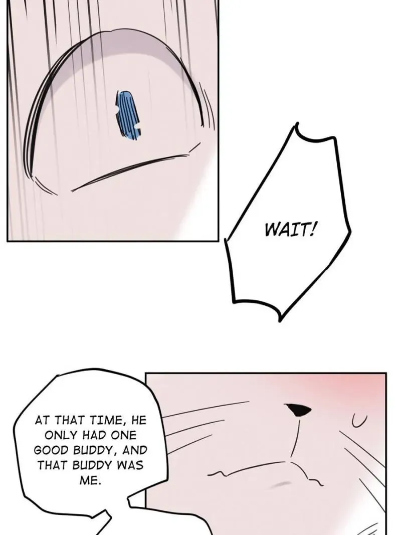 My Cat Lover Chapter 45 Online - página 41