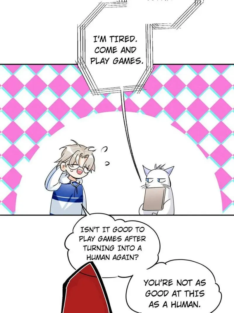 My Cat Lover Chapter 49 Online - página 9