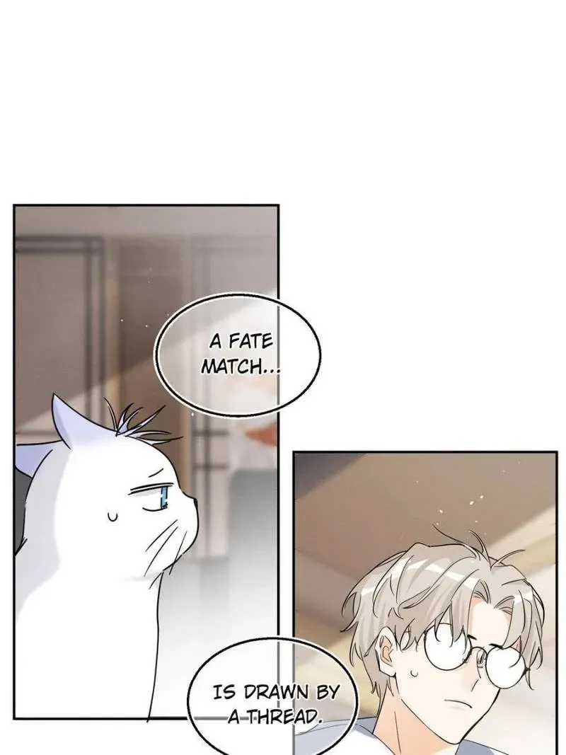 My Cat Lover Chapter 49 Online - página 21