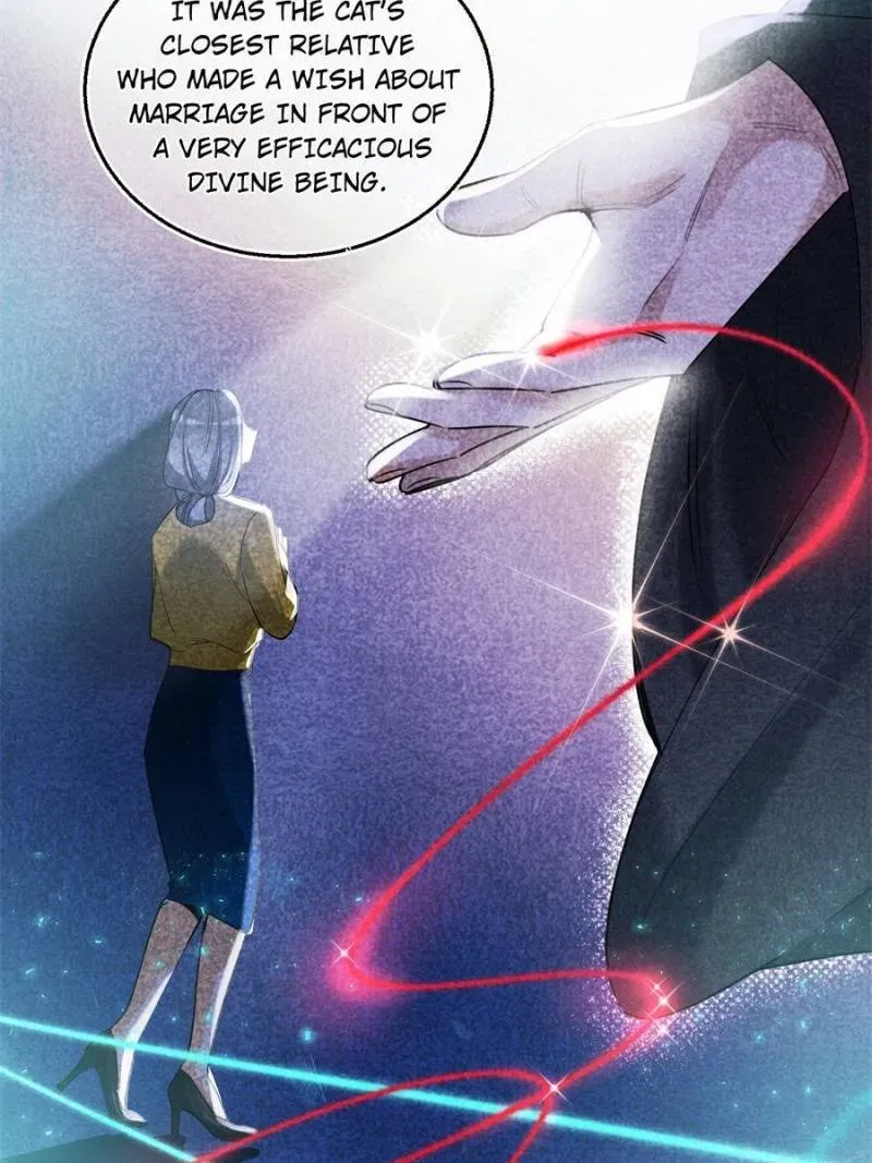 My Cat Lover Chapter 49 Online - página 27