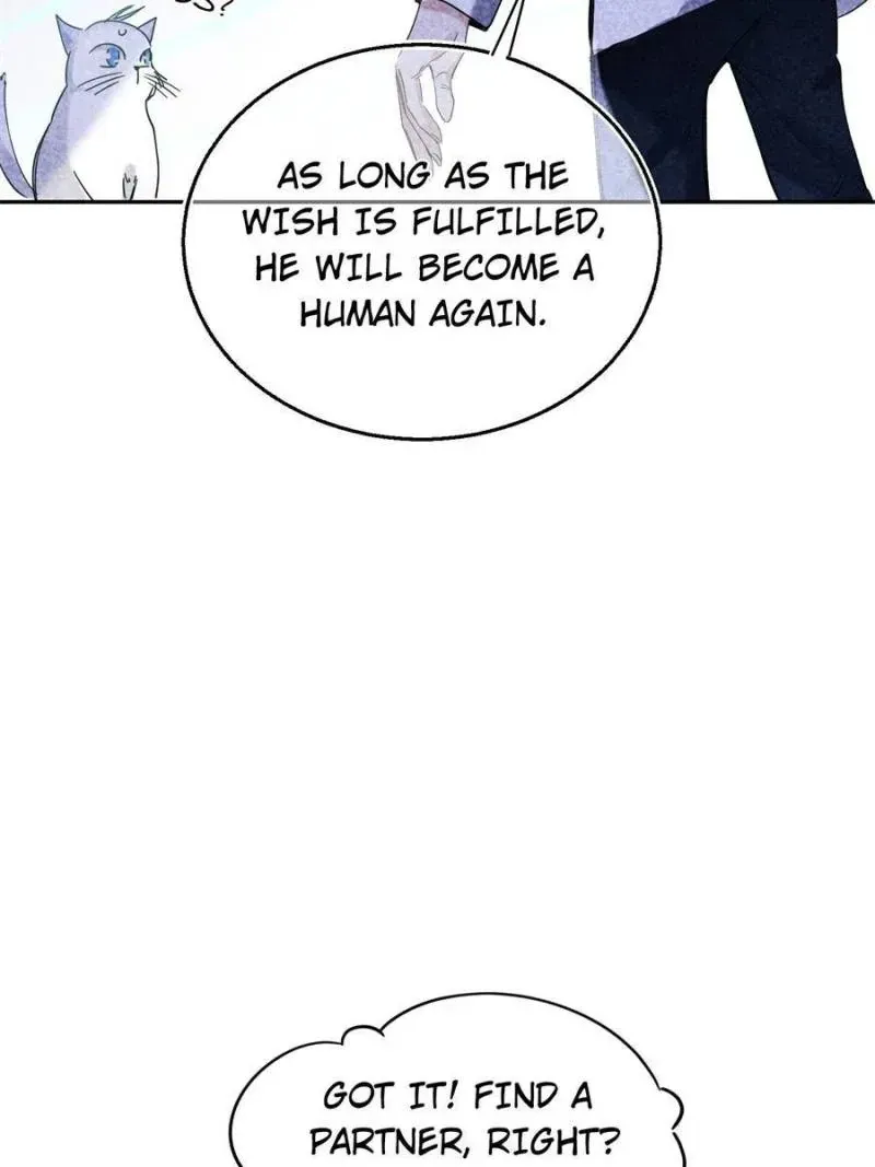 My Cat Lover Chapter 49 Online - página 29