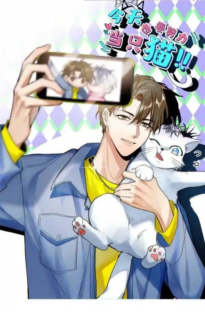 My Cat Lover Chapter 73 Online - página 3