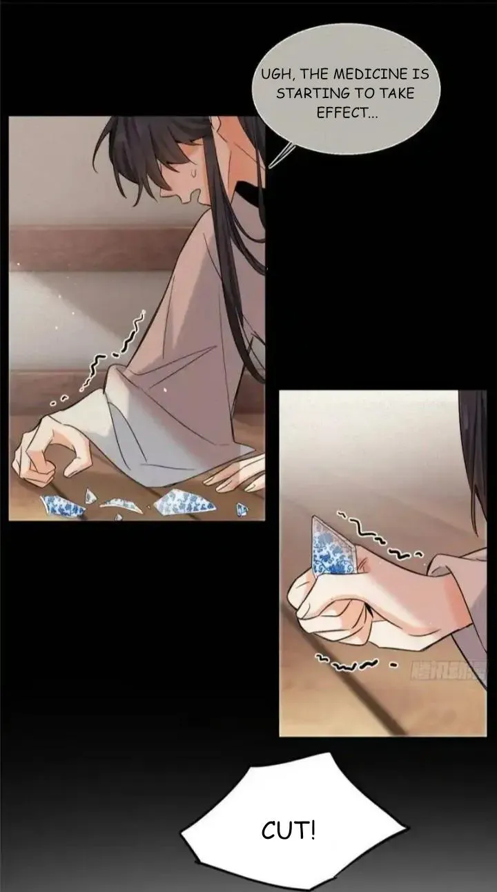 My Cat Lover Chapter 73 Online - página 7