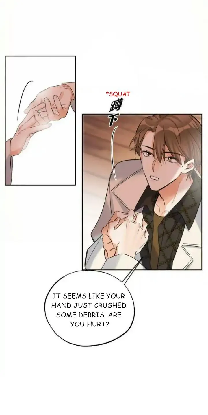 My Cat Lover Chapter 73 Online - página 11