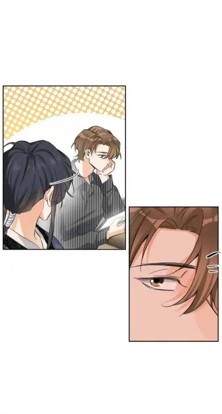 My Cat Lover Chapter 73 Online - página 19