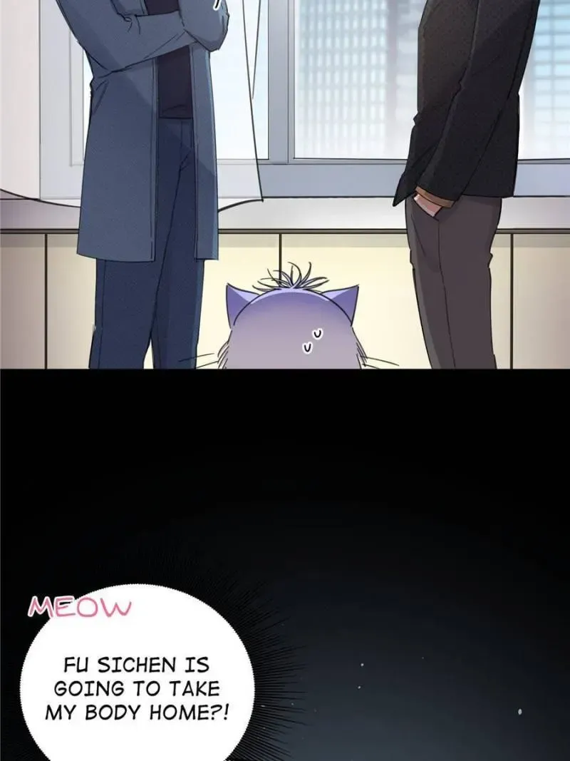 My Cat Lover Chapter 9 Online - página 2
