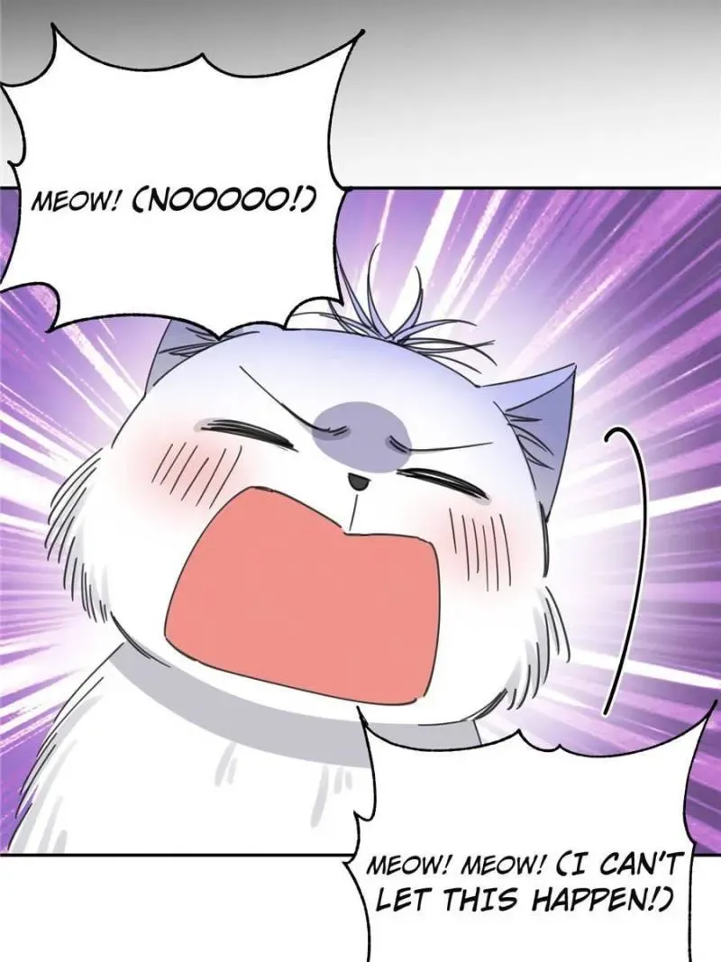My Cat Lover Chapter 9 Online - página 5