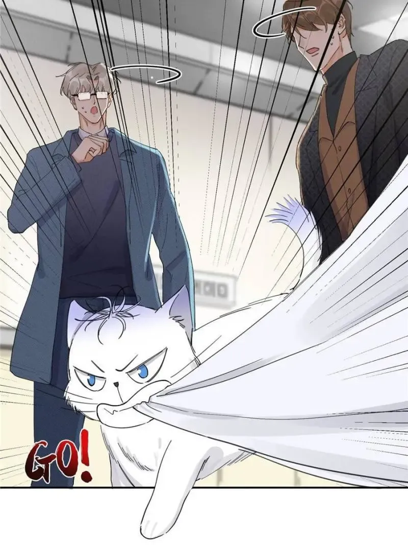 My Cat Lover Chapter 9 Online - página 11
