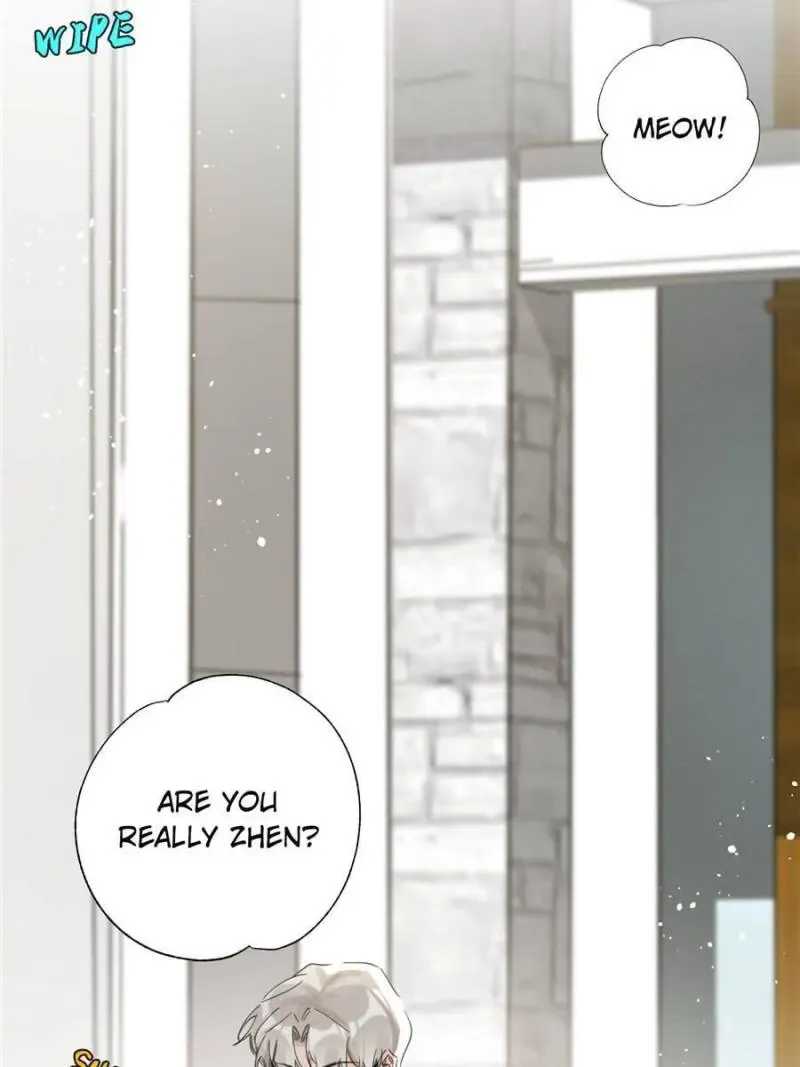 My Cat Lover Chapter 9 Online - página 26