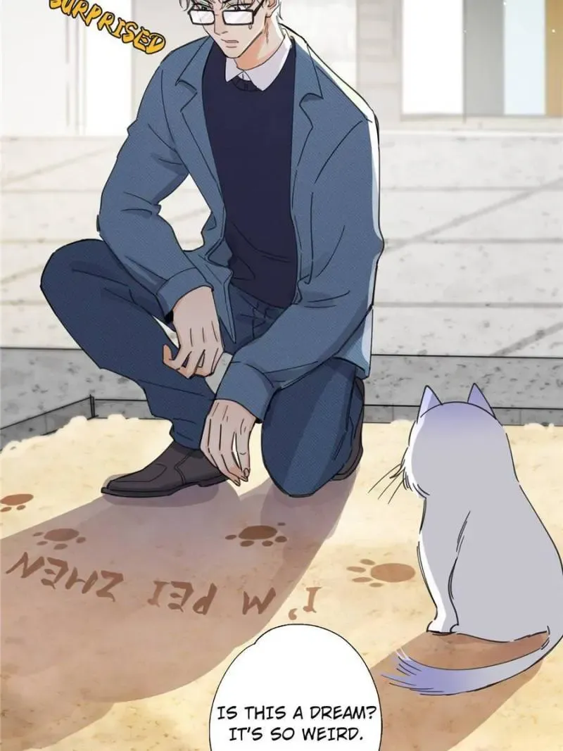 My Cat Lover Chapter 9 Online - página 27