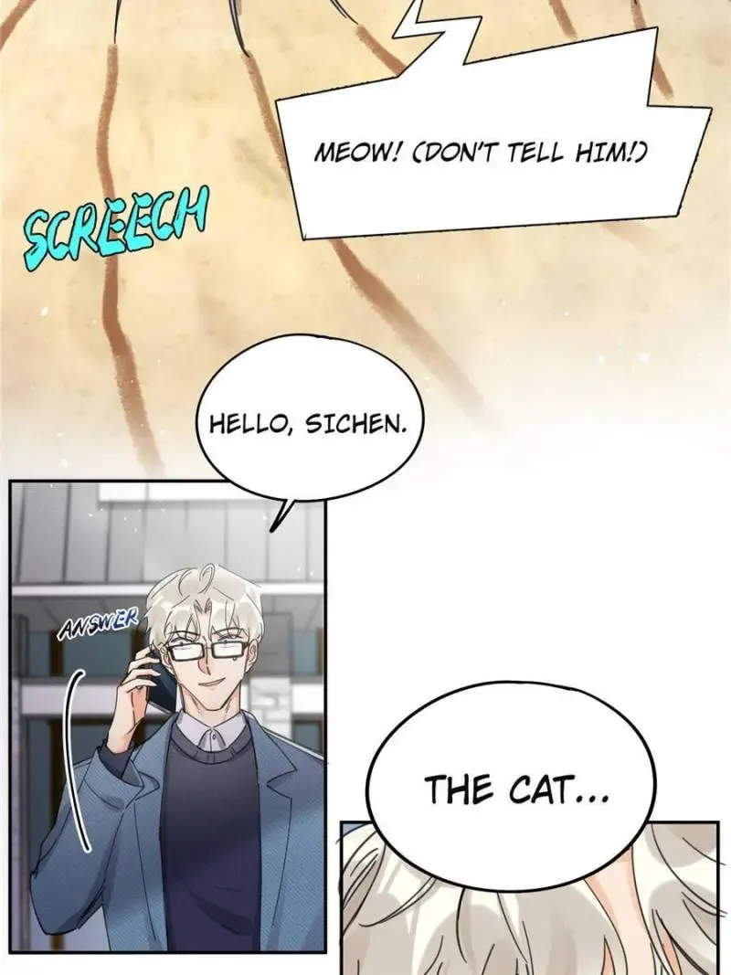 My Cat Lover Chapter 9 Online - página 33