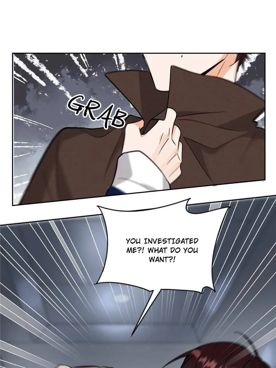 My Cat Lover Chapter 98 Online - página 14