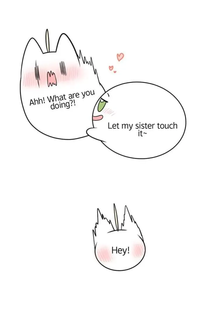 My Food Looks Very Cute Chapter 116 Online - página 21