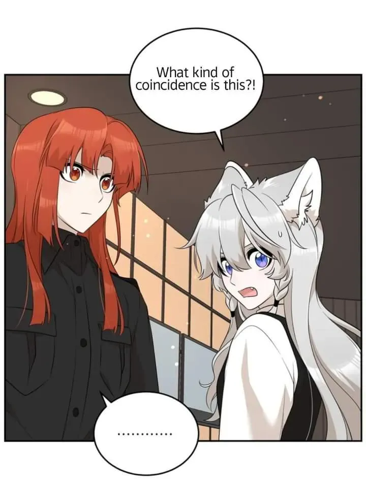 My Food Looks Very Cute Chapter 116 Online - página 35