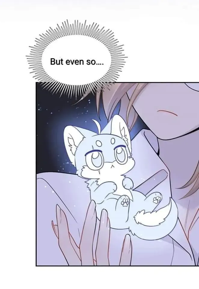 My Food Looks Very Cute Chapter 199 Online - página 15