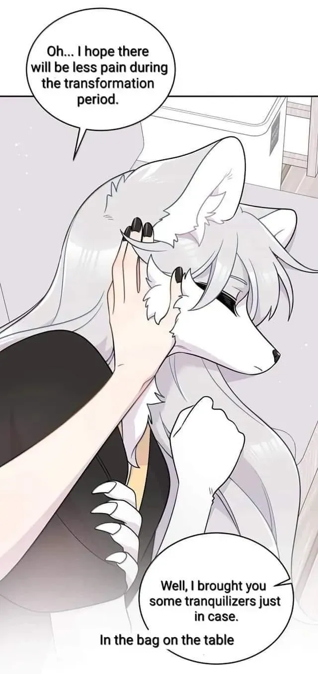 My Food Looks Very Cute Chapter 199 Online - página 38