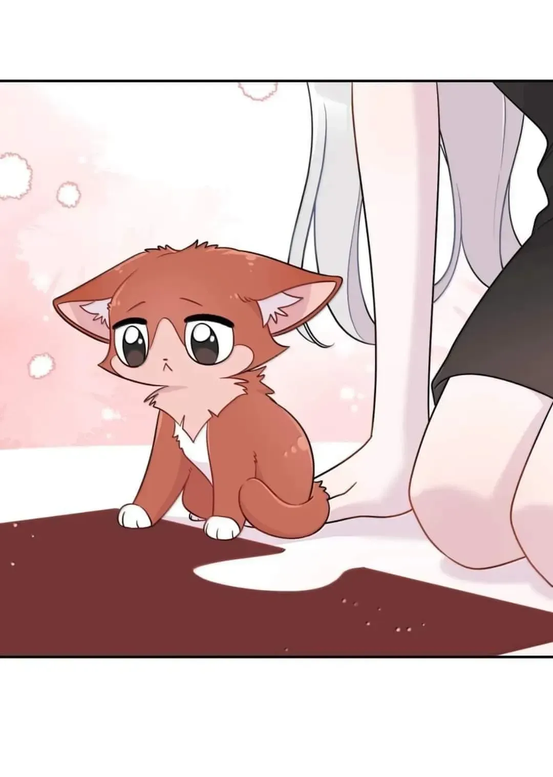 My Food Looks Very Cute Chapter 199 Online - página 48