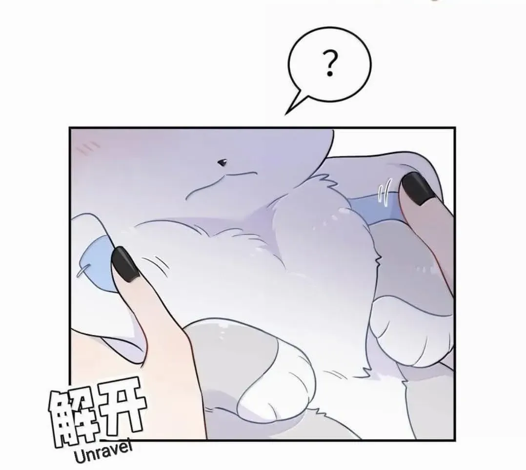 My Food Looks Very Cute Chapter 202 Online - página 37