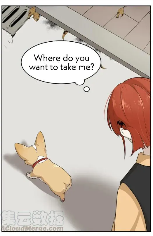 My Food Looks Very Cute Chapter 8 Online - página 17