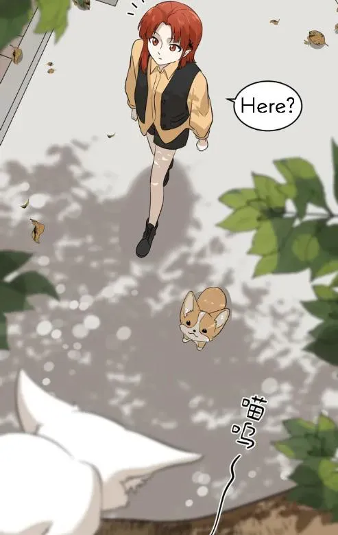 My Food Looks Very Cute Chapter 8 Online - página 19