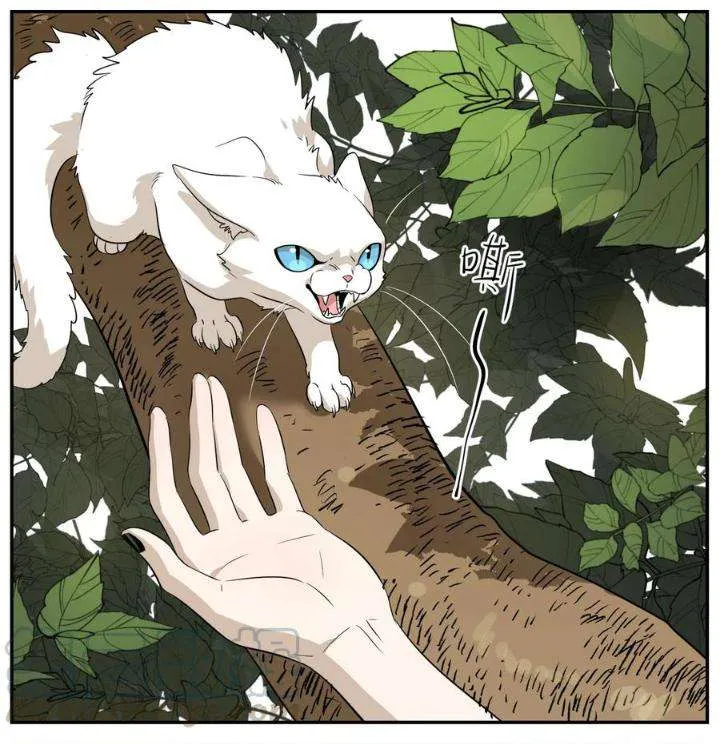 My Food Looks Very Cute Chapter 8 Online - página 24