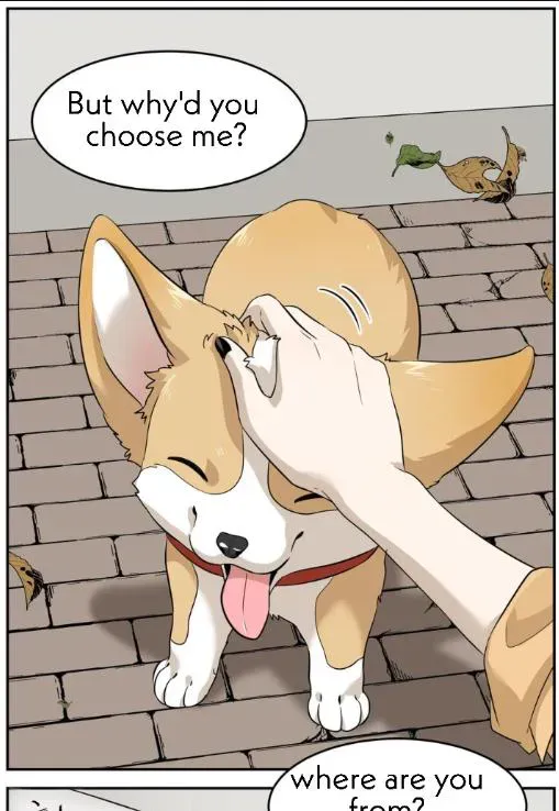 My Food Looks Very Cute Chapter 8 Online - página 29