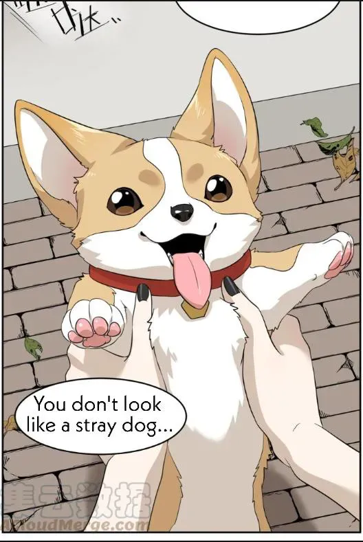 My Food Looks Very Cute Chapter 8 Online - página 30