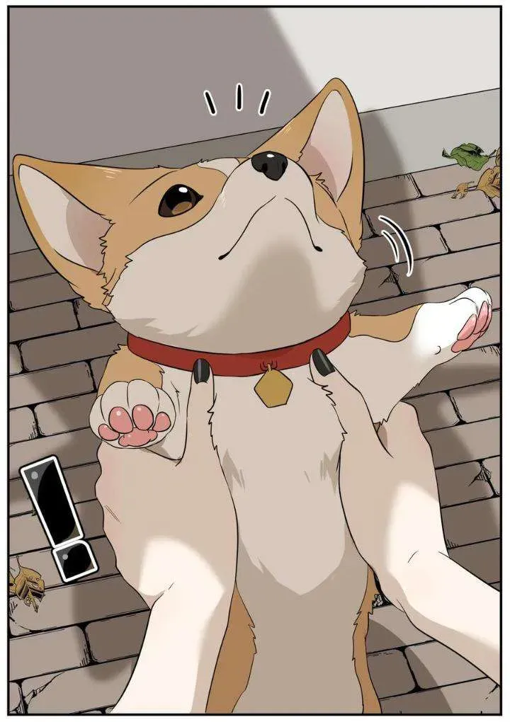 My Food Looks Very Cute Chapter 8 Online - página 31