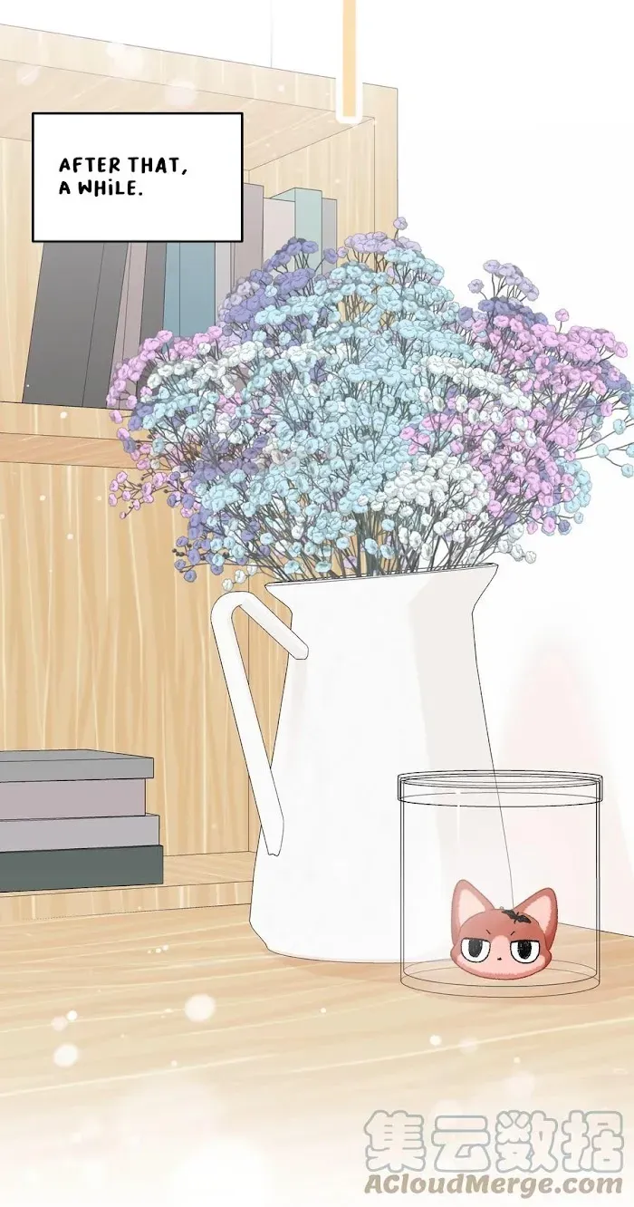 My Food Looks Very Cute Chapter 96 Online - página 26