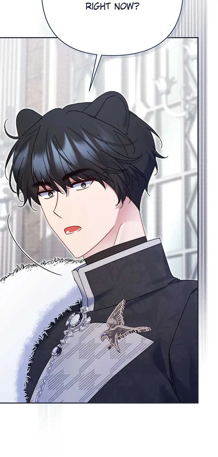 My Pet Miad Chapter 53 Online - página 61