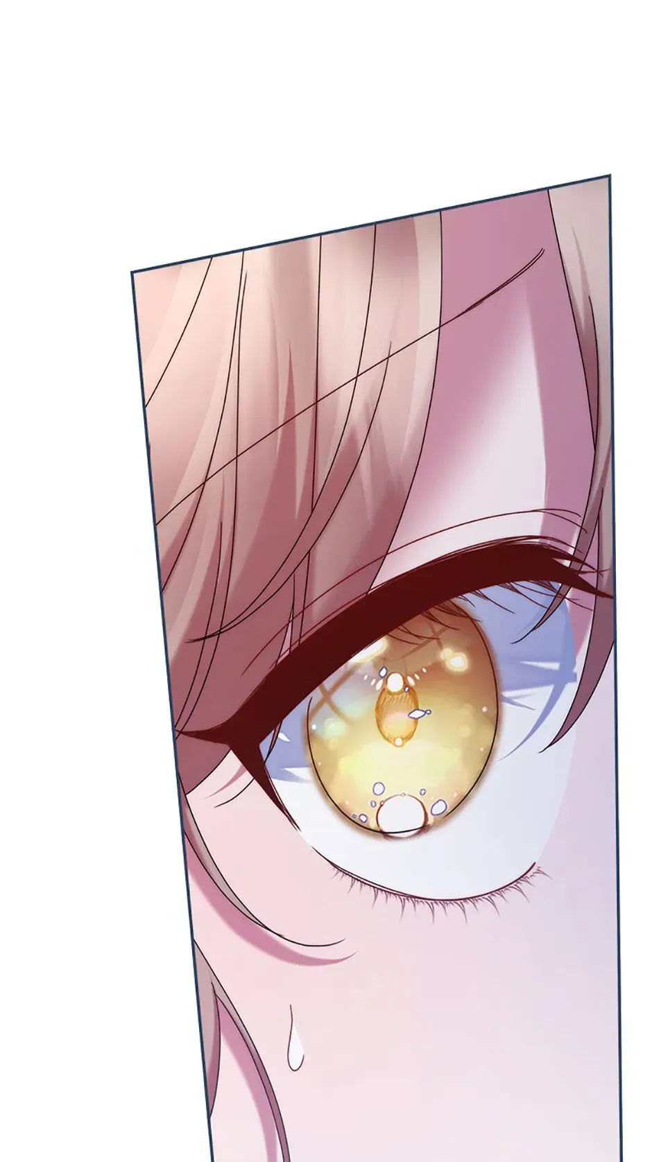 My Pet Miad Chapter 56 Online - página 33