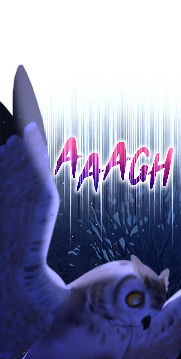 My Pet Miad Chapter 62 Online - página 41