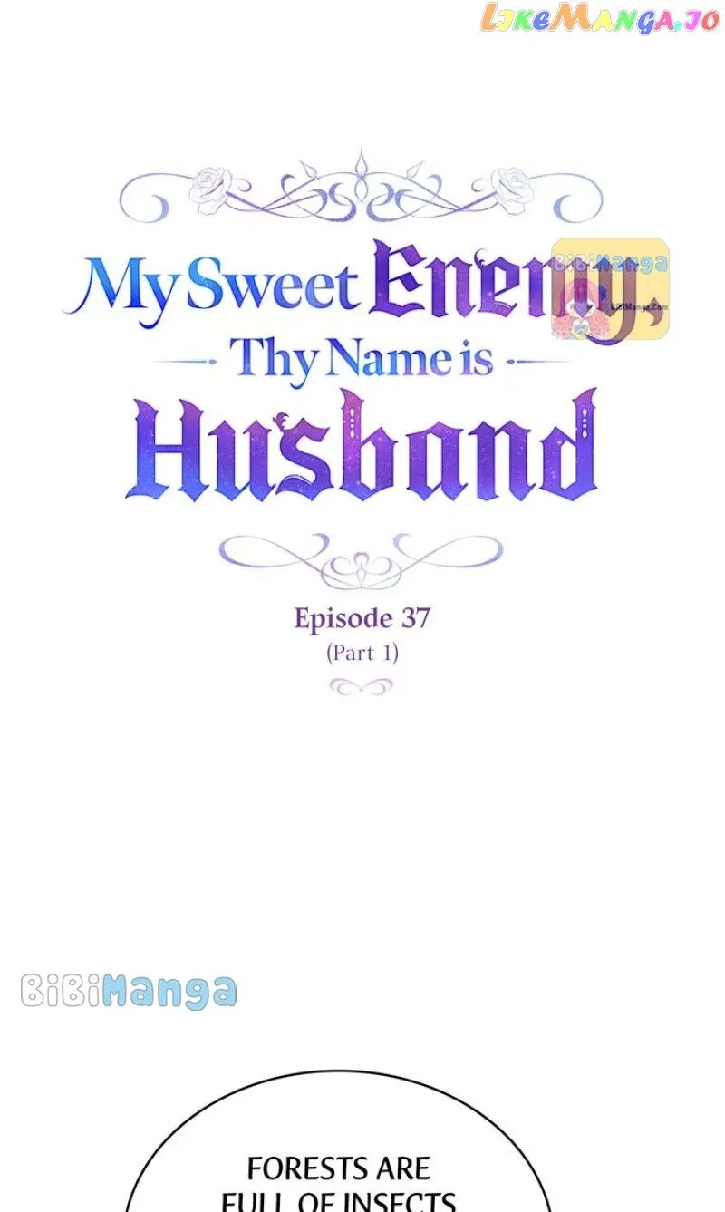 My Sweet Enemy, Thy Name is Husband Chapter 37 Online - página 7