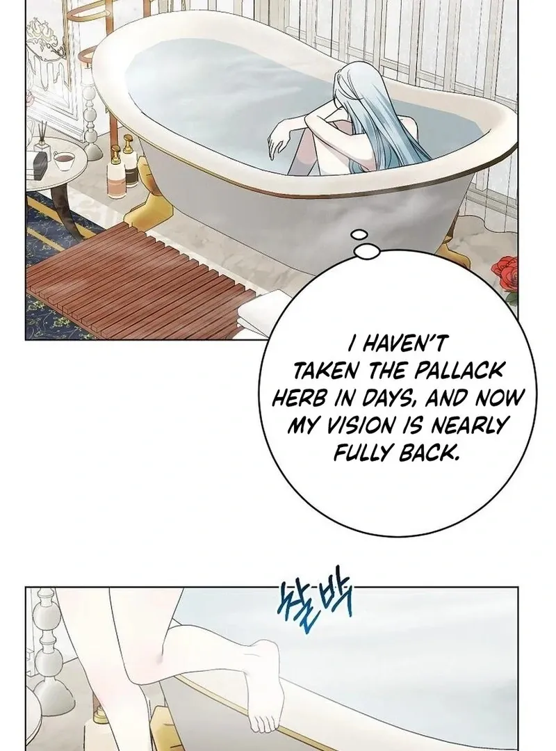 My tyrant’s husband somehow became cautious Chapter 101 Online - página 95