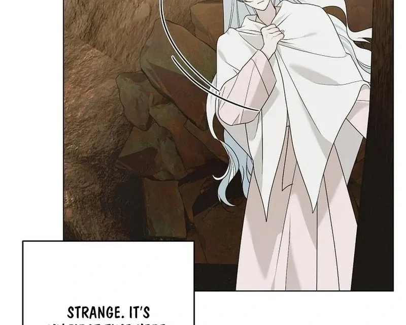 My tyrant’s husband somehow became cautious Chapter 102 Online - página 68