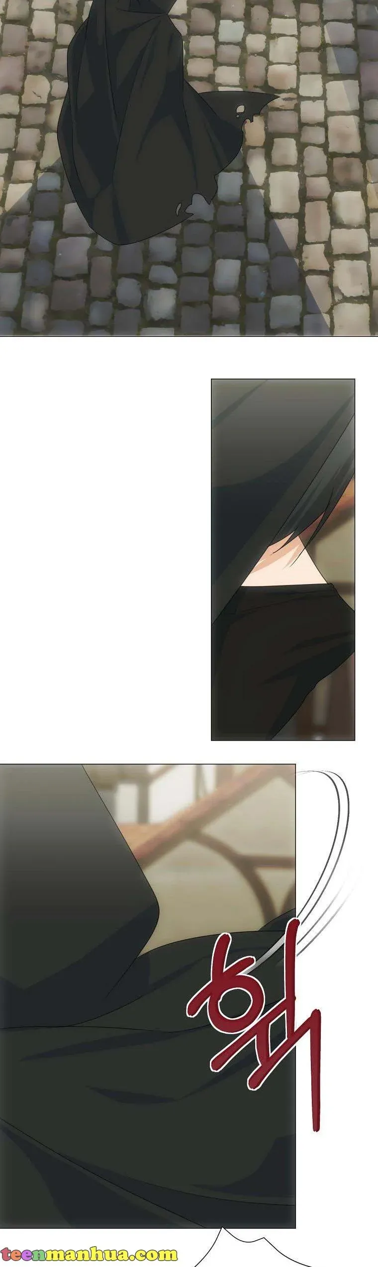 My tyrant’s husband somehow became cautious Chapter 37 Online - página 9