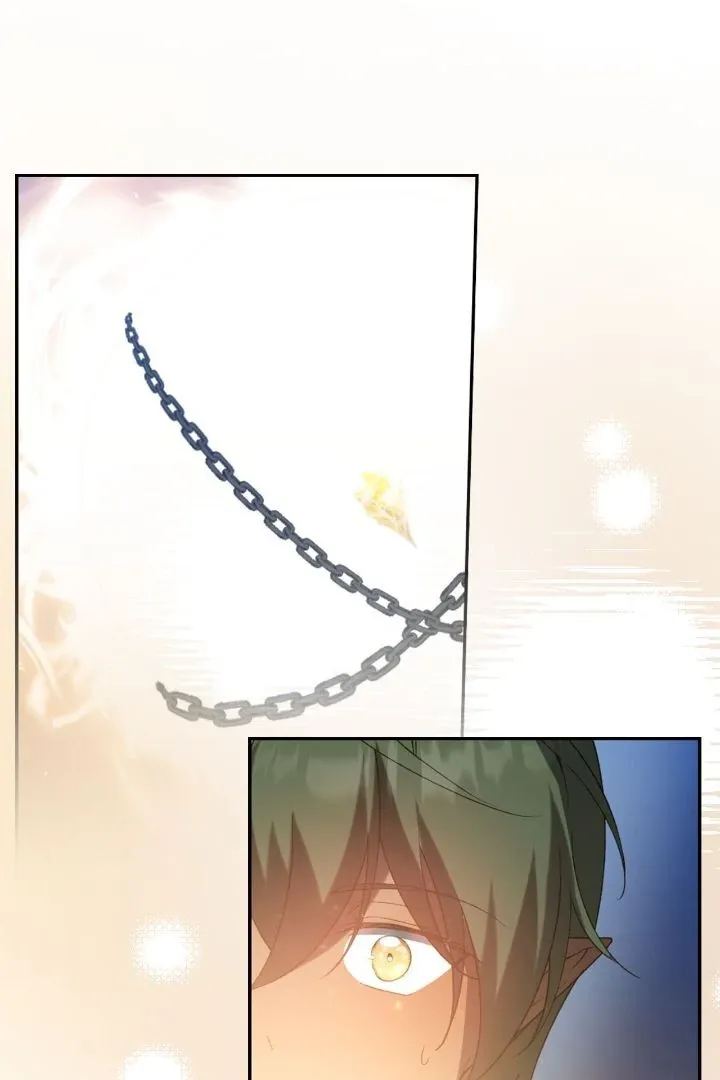 Ningen Desuga Maou Totsugu Koto Ni Narimashita Chapter 181 Online - página 41