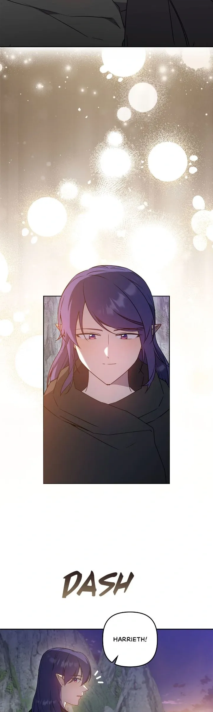 Ningen Desuga Maou Totsugu Koto Ni Narimashita Chapter 208 Online - página 8