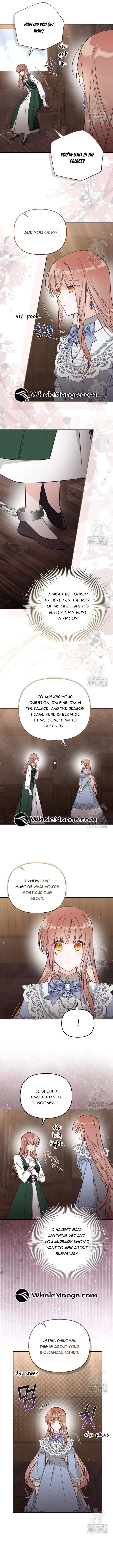 No Place for the Fake Princess Chapter 78 Online - página 3