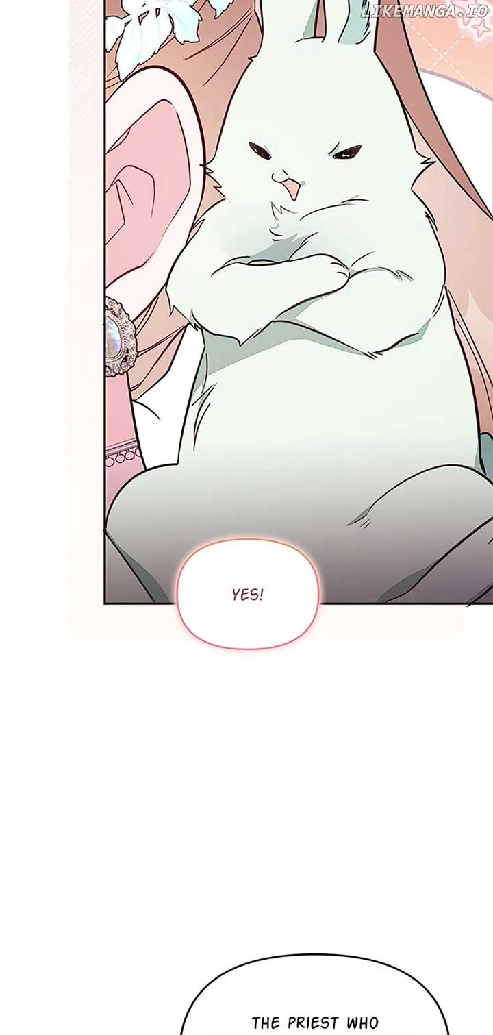 No Place for the Fake Princess Chapter 86 Online - pƔgina 34